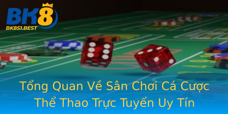 Tổng Quan Về Sân Chơi Cá Cược Thể Thao Trực Tuyến Uy Tín Tổng Quan Về Sân Chơi Cá Cược Thể Thao Trực Tuyến Uy Tín