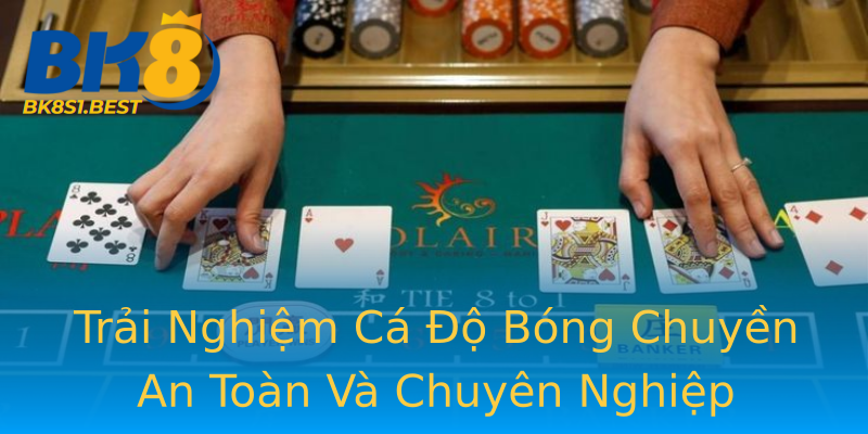 Trải Nghiệm Cá Độ Bóng Chuyền An Toàn Và Chuyên Nghiệp Trải Nghiệm Cá Độ Bóng Chuyền An Toàn Và Chuyên Nghiệp
